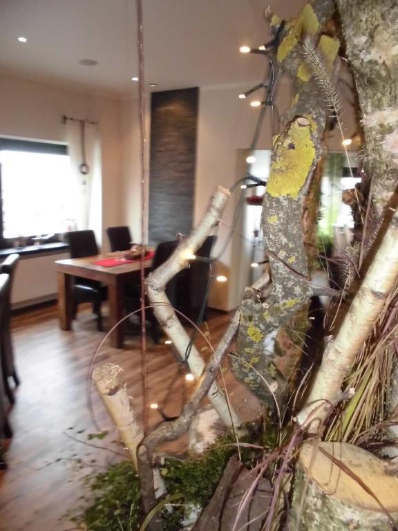 Hotel Roeb Nideggen Dış mekan fotoğraf
